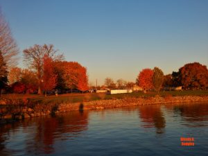 66Fall ReflectionWendy A. Badgley Onondaga County