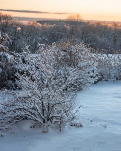 30Finger Lakes Back YardLinda Hallifax Ontario County