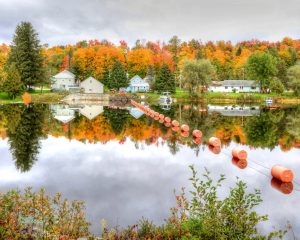 1 																												Fall Reflections In ForestportRennae ChristmanOneida