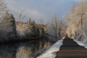 8Frosty Morning on Erie CanalLewell TroastOnondaga County