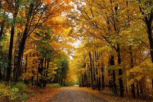 70Green Lakes State ParkKathleen Ferguson Onondaga County