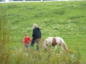 60 Springtime Stroll Jane LaSure Madison County