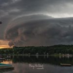 20 																																																																																											
Force of Nature																																																																																																																																				Nancy Roberts																																																																																									Madison