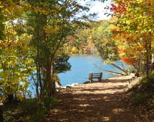 65Path from Green Lake to Round LakeMichael Rauer Onondaga County