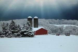 111 After the snowAnn Oliver Onondaga County