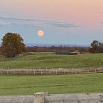 36 																																																																																											
Hunter Moon Over Horse Pasture																																																																											Beth Ferri																																																						Onondaga