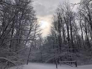 113 Winter Beauty in Central New YorkDawn Burke Oneida County