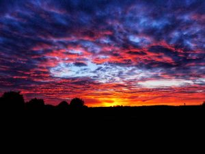 34Summer SunsetScott Murnan Ontario County