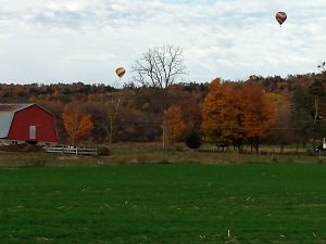 30 																																								On the Wings of an Autumn Day		Kelly MercurioOneida