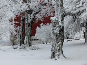 20 																																																							Pompey Barn	Coreen SteinbachOnondaga