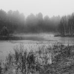 29 																																																																																											
Evening Mist on an Adirondack Pond																																																																													Timothy Stedman																																																Jefferson