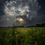 7 																																																																																											
Severe Weather Warning!																																																																																																																												Coleen Foley																																																																																				Tompkins