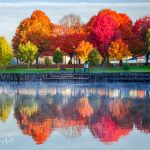 39 																																																																																											
Bellamy Harbor ParkSusan Campbell																																																																																																																									Oneida