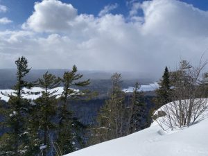 64Beauty in WinterDawn F BurkeHerkimer County