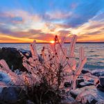 31 																																																																																											
Winter's Fire and Ice Sunset										Stacy Jordan																																																																																																																																										Cayuga