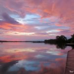 1 																																																																																											
After the Rain																																																																																																																						Todd Tanner																																																																															Cayuga