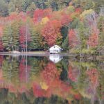 1 																																																																																											
Reflections of Fall																																																																																																																																																					Todd Tanner																																																																																																								Herkimer