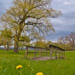 16 																																																																																											
Seneca Lake State Park Spring Views																																																																																																							Kerri Batrowny																																																																Seneca