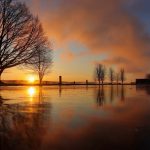 1 																																																																																											
Chilly Sunrise from a Frozen PuddleTodd Tanner																																																																																																																															Cayuga
