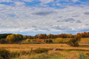 70Autumn ArtistryKathleen Ferguson Madison County