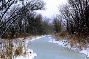 138 Stream of LightFrederick Mills Onondaga County