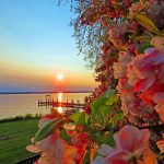 33 																																																																																											
Cherry Blossom Sunset																																																																																																																Stacy Jordan																																																																										Cayuga