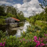 8 																																																																																								Erie Canal																																	Siobhan Bussone																					Onondaga