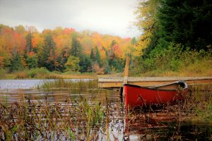 38Moose River, Old Forge, NYSteven Dunn Herkimer County