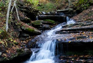 49 Autum WaterfallRalph Ortiz Oneida County