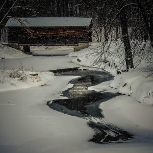 13Stopping by woods on a snowy eveningKevin Hoehn Otsego