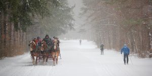 40Sleigh Ride and SkiersKevin Morrow Onondaga County