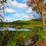 12 																																																																																											
The Beauty of Fall																																																																																																																																																													Pam Tingley																																																																																																												Tompkins