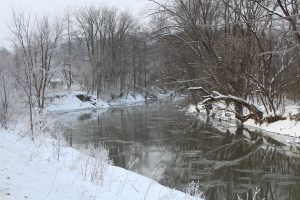 47Route 49,MarcyCarrie Bosque Oneida County