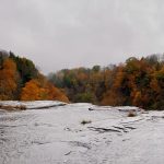 53 																																																																																											
A View of Autumn																																																																																							Brendan Todt																																																												Oswego