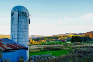 1 Autumn's Color PaletteMichelle Enright Tompkins County