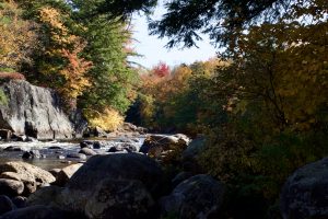 69 																																																				Moose River Beauty				Betsy WatermanHerkimer