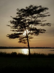 68Owasco Lake Shore Summer Sunset  Melina Carnicelli  Cayuga County