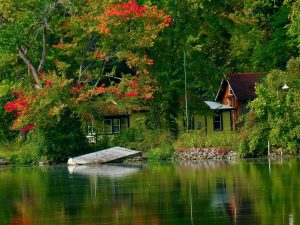 12Signs of Autumn  Michael Nanton Onondaga County