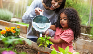 The Science of Ecosystems: Learn Through Gardening