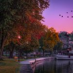 31 																																																																																											
Morning FlightJen Corfield																																																																																																																				Onondaga