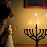 12 																																																																																											
Hanukkah Focus																																																																					Chris Bullis																																															Herkimer