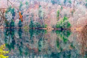 28 Green Lakes State ParkPeter Andrusyszyn Onondaga County