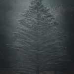 18 																																																																																											
Morning Fog																																																																																																																																				Robert Janitz																																																																																								Chenango