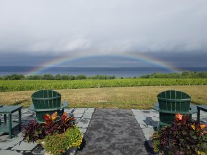 17Boundary Breaks Vineyard Diana Lyttle Seneca County