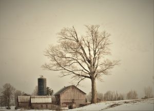 1Wintery farm sceneryLisa Lynch Herkimer