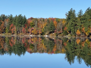 45 Calm ReflectionTracy D Herkimer County