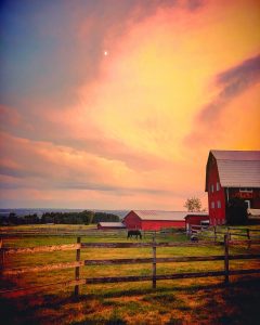 32Horse farm  Michelle Enright  Tompkins County