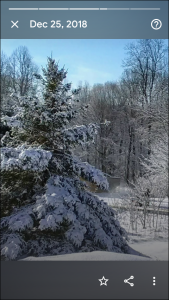 69Winter BeautyAnnette LaVoyOswego County