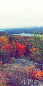 46 Bald Mountain Old Forge NYSteven J Wilczek Herkimer County