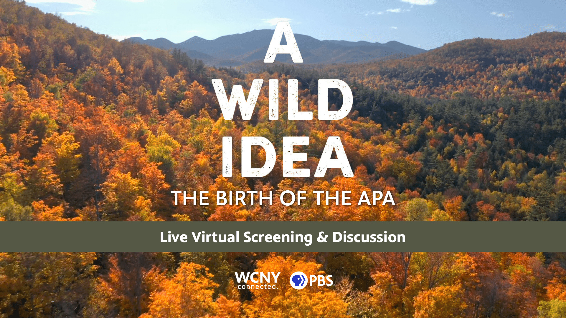 A Wild Idea: The Birth of the APA